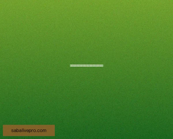 美加墨世界杯最新竞猜盘口解析与投注趋势全面指南