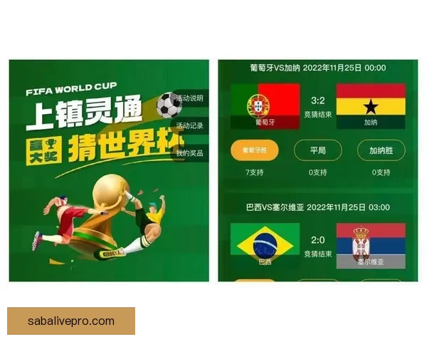 世界杯竞猜网站推荐与分析 提升投注技巧 助力球迷精准预测 世界杯竞猜网站推荐与分析 提升投注技巧 助力球迷精准预测