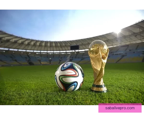 2026世界杯扩军至四十八队全球足球盛事全解析