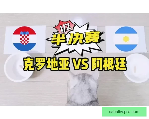 世界杯精彩对决竞猜比分策略全面解析与预测技巧分享