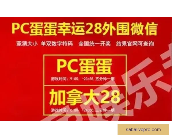 世界杯竞猜技巧揭秘 提升预测准确率的实用方法与策略